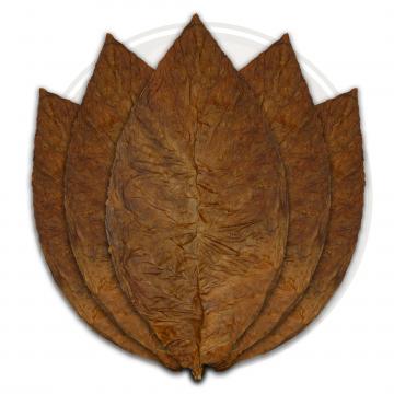 Connecticut Broadleaf Wrapper